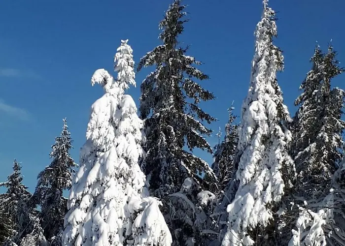 Appartement Sissi's Feriendomizil *